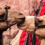 Impressionen Jordanien Gruppenreise – Entdeckungsreise (15 Tage)