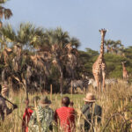 Impressionen Tansania Flugsafari – Top of Tansania (11 Tage)