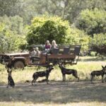 Impressionen Flugsafari Sambia – Highlights (13 Tage)