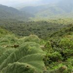 Impressionen Costa Rica Rundreise – Traumhafter Pazifik (8 Tage)