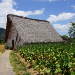 Impressionen Kuba Gruppenreise – Die Lebensfreude Kubas (17 Tage)