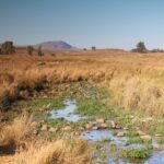 Impressionen Israel Rundreise – Wasser, Natur und Wüste (4 Tage)