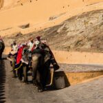 Impressionen Indien Rundreise – Tiger und Tempel, Kultur und Natur (14 Tage)