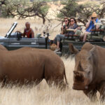 Impressionen Kenia Flugsafari – Explorer (7 Tage)