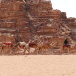 Impressionen Jordanien Gruppenreise – Entdeckungsreise (15 Tage)