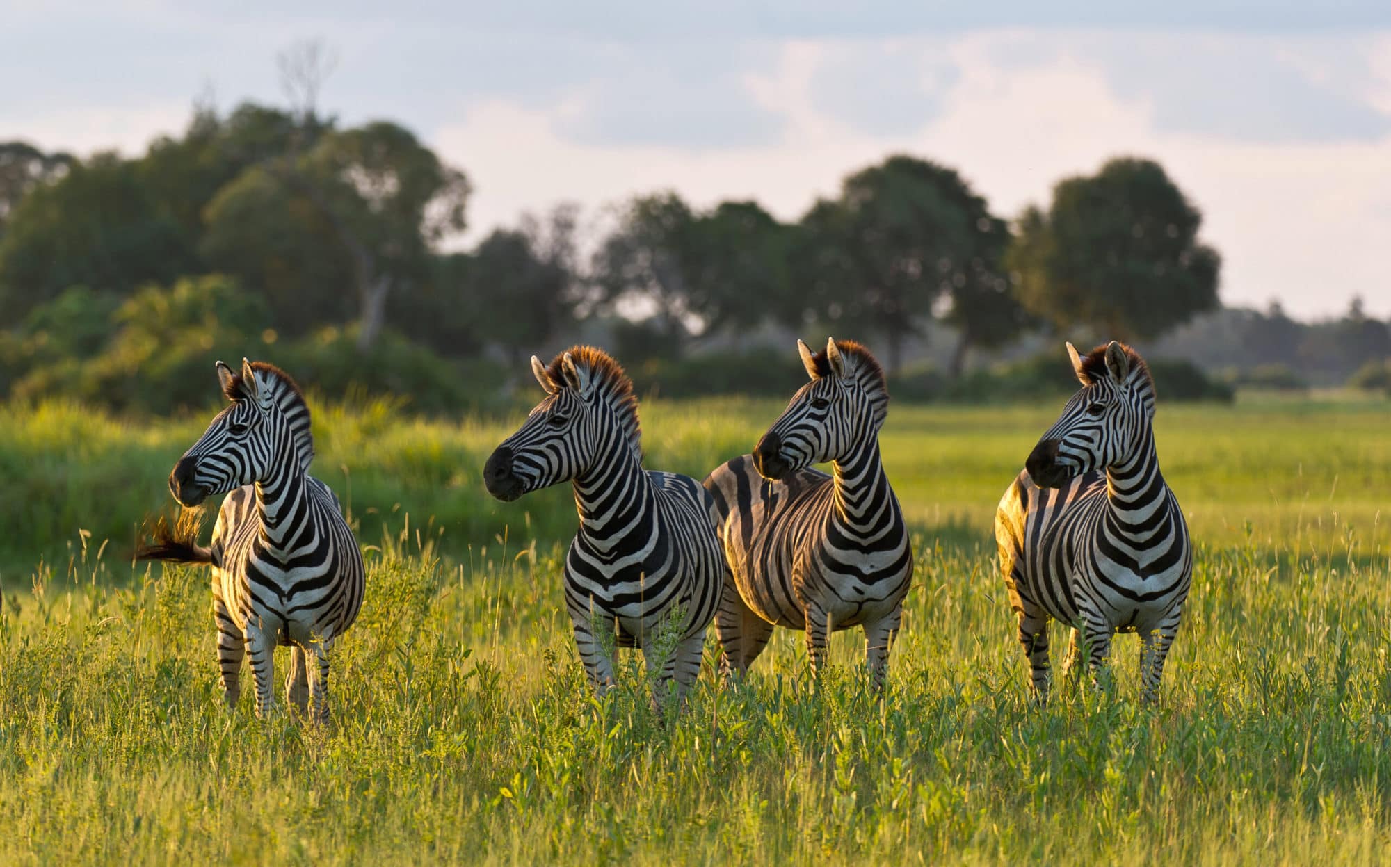 Reisen Bewertungen von Kunden Reisen Bewertungen von Kunden