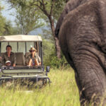 Impressionen Tansania Flugsafari – Stilvoll durch Tansania (10 Tage)