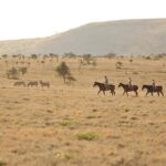 Impressionen Kenia Flugsafari – Explorer (7 Tage)