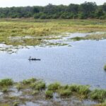 Impressionen Flugsafari Botswana und Simbabwe – Highlights (12 Tage)