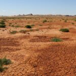 Impressionen Mongolei Gruppenreise – Kameltrekking durch die Wüste von Gobi (17 Tage)