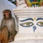 Impressionen China Bahnreise – Mit dem Zug aufs Dach der Welt (12 Tage)