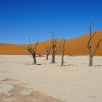 Impressionen Namibia Mietwagenrundreise – Wüsten und Nationalparks (12 Tage)