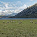 Impressionen Neuseeland Mietwagenrundreise – Durch das Land der Kiwis (15 Tage)