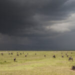 Impressionen Tansania Rundreise – Safari, Busch & Kultur (11 Tage)