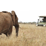 Impressionen Tansania Rundreise – Safari, Busch & Kultur (11 Tage)