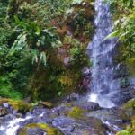 Impressionen Costa Rica Rundreise – Erlebnis Natur (16 Tage)