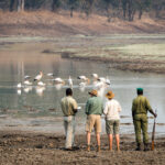 Impressionen Flugsafari Sambia – Sambia Essentials (9 Tage)