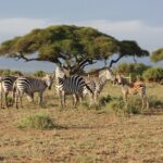 Impressionen Kenia Rundreise – Safari in Kenia (6 Tage)
