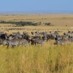 Impressionen Kenia Gruppenreise – Kenia und Tansania (12 Tage)
