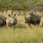 Impressionen Südafrika Gruppenreise – Das Südafrikaerlebnis (14 Tage)