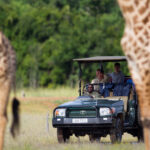 Impressionen Flugsafari Sambia – Sambia Essentials (9 Tage)