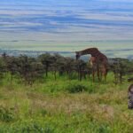 Impressionen Kenia Gruppenreise – Kenia und Tansania (12 Tage)